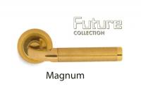 Ручка для межкомнатных дверей, модель Magnum